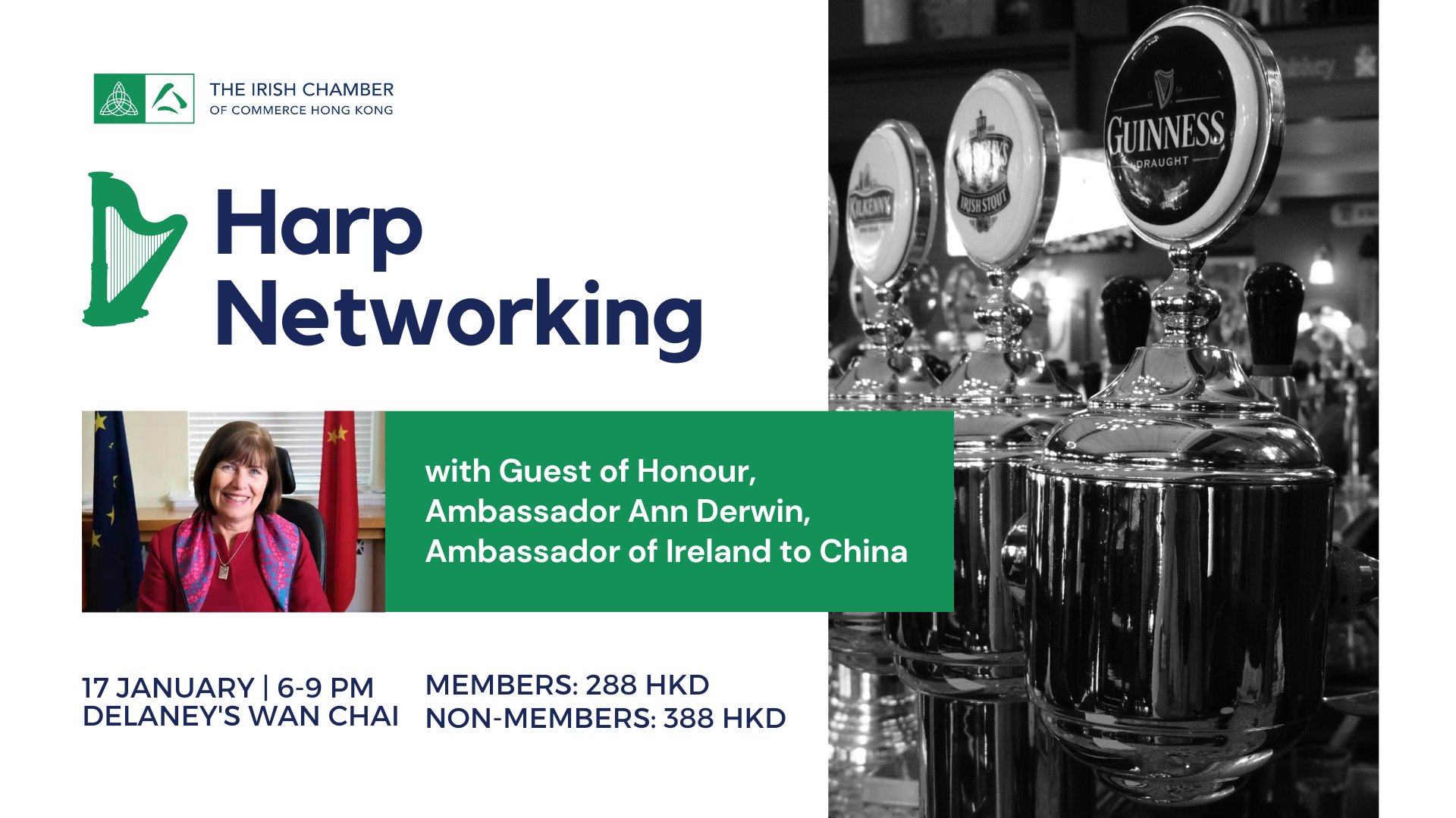 thumbnails Harp Networking Event